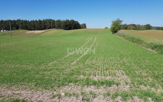 Działka budowlana na sprzedaż Bogaczewo